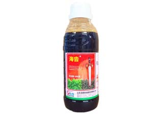 圣鹏海沓20%敌草快图片