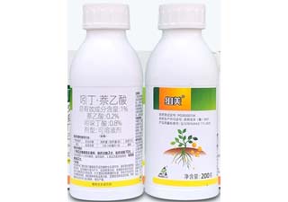 奥迪斯组美1%吲丁·萘乙酸图片