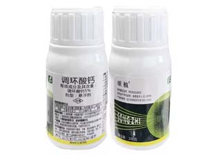 中迅颂植5%调环酸钙图片