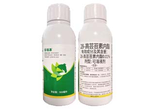 中迅追源0.01%28-高芸苔素内酯图片