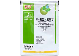 巴菲特化工旺打0.01%24-表芸·三表芸图片