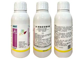 巴菲特化工修斯灵0.01%28-表高芸苔素内酯图片