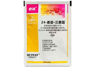 巴菲特化工碧扬0.01%24-表芸·三表芸图片