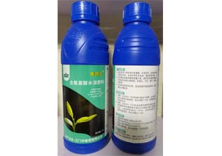 江门植保青源泽含氨基酸水溶肥料图片