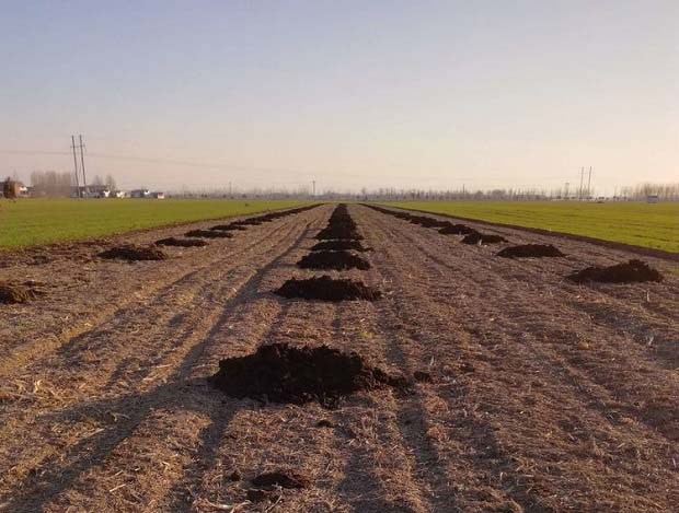 有机肥替代化肥要因地制宜