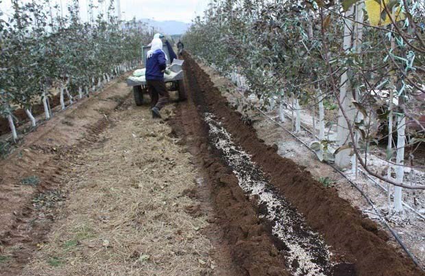 有机肥替代化肥要因地制宜