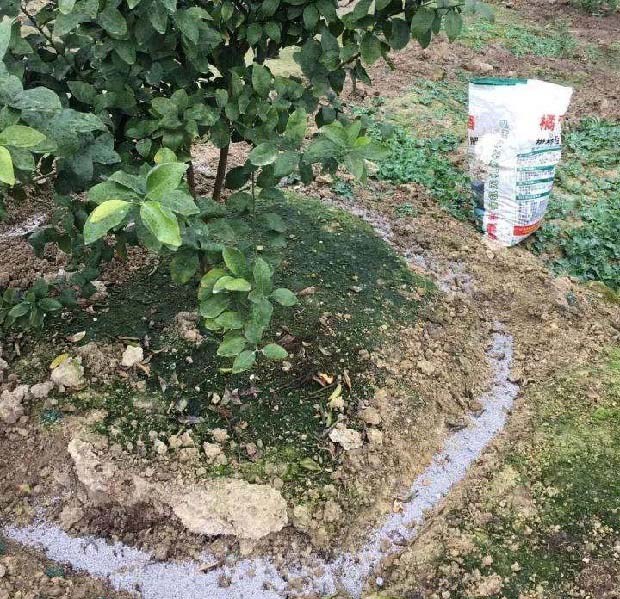 有机肥替代化肥要因地制宜