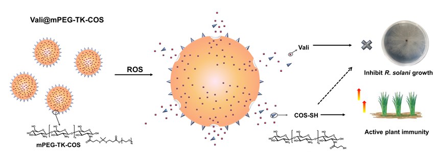 中国科学院成功开发创新型农药制剂