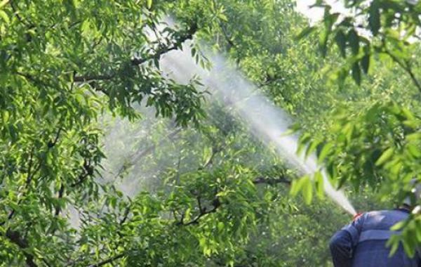 夏季施药注意事项